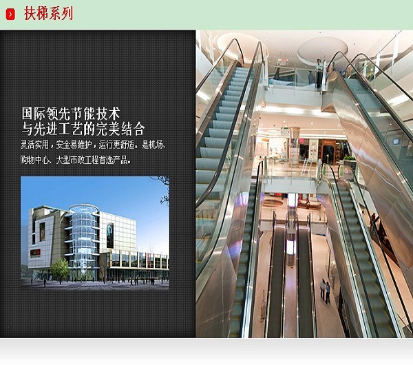 ����ϵ��